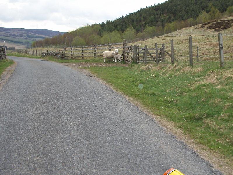 Perth-Aviemore, overzicht dag3, (54).JPG